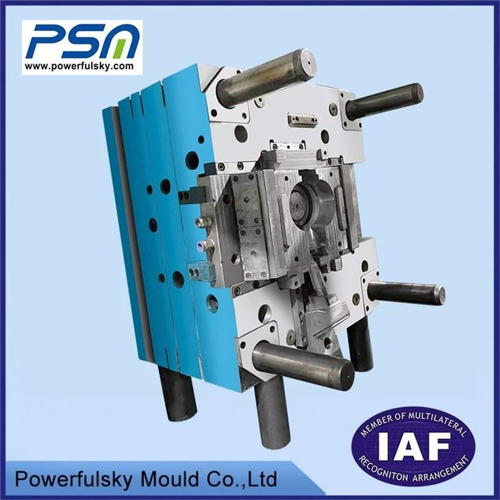 Plastic Injection Mold shower head nozzle